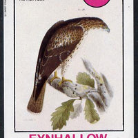 Eynhallow 1982 Fish Hawk imperf deluxe sheet (£2 value) unmounted mint