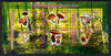 Djibouti 2013 Fungi #3 perf sheetlet containing 6 values cto used