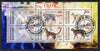 Ivory Coast 2013 Domestic Cats #3 perf sheetlet containing 6 values fine cto used