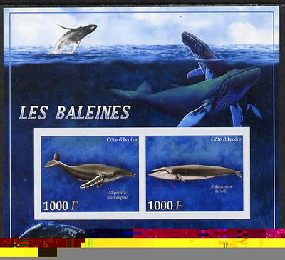 Ivory Coast 2013 Whales imperf sheetlet containing 2 values unmounted mint