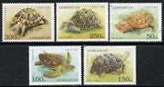 Azerbaijan 1995 Turtles perf set of 5 unmounted mint SG234-38