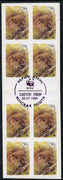 Belarus 1995 WWF (Beavers) booklet containing 300 value x 2 blocks of 4 with special WWF cancel