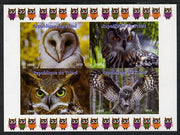 Chad 2013 Birds - Owls #1 imperf sheetlet containing 4 vals unmounted mint. Note this item is privately produced and is offered purely on its thematic appeal.