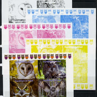 Chad 2013 Birds - Owls #1,sheetlet containing 4 vals - the set of 5 imperf progressive colour proofs comprising the 4 basic colours plus all 4-colour composite unmounted mint.