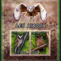 Djibouti 2013 Owls #2 imperf sheetlet containing 2 values unmounted mint