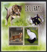 Djibouti 2013 Domestic Cats #4 perf sheetlet containing 2 values unmounted mint
