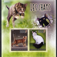 Djibouti 2013 Domestic Cats #4 imperf sheetlet containing 2 values unmounted mint