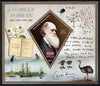 Madagascar 2013 Charles Darwin perf deluxe sheet containing one diamond shaped value unmounted mint