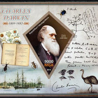 Madagascar 2013 Charles Darwin imperf deluxe sheet containing one diamond shaped value unmounted mint