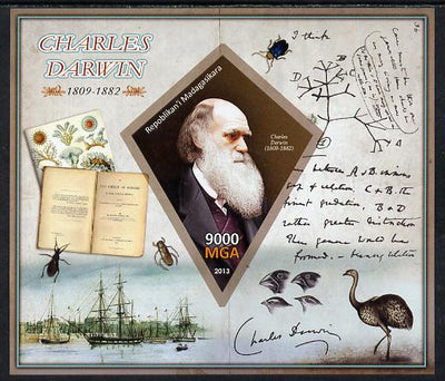 Madagascar 2013 Charles Darwin imperf deluxe sheet containing one diamond shaped value unmounted mint