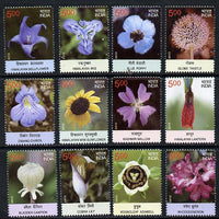 India 2013 Postal Union Congress - Wild Flowers complete set of 12 unmounted mint