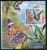 Mozambique 2013 Butterflies #4 imperf deluxe sheet unmounted mint. Note this item is privately produced and is offered purely on its thematic appeal