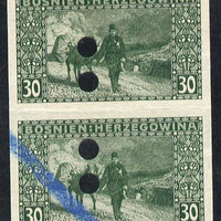 Bosnia & Herzegovina 1906 Postman & Beast of Burden 30h green imperf proof pair each with punch holes and blue crayon, as SG 194 (some winkles)