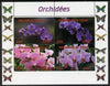 Chad 2014 Orchids #1 (with Butterflies in side margins) perf sheetlet containing 4 values unmounted mint. Note this item is privately produced and is offered purely on its thematic appeal.