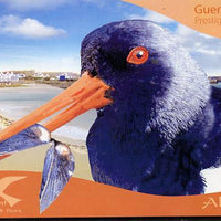 Guernsey - Alderney 2009 Residential Birds #4 £12.68 booklet complete & fine SG ASB19