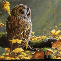 Isle of Man 1997 Owls £4.62 Prestige booklet complete & fine SG SB44