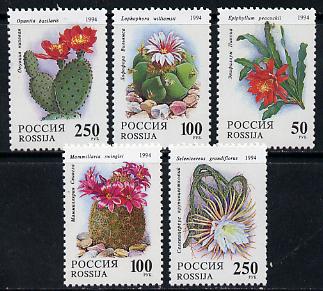 Russia 1994 Cacti set of 5 unmounted mint, SG 6461-65, Mi 363-67