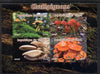 Chad 2014 Fungi #1 imperf sheetlet containing 4 values unmounted mint. Note this item is privately produced and is offered purely on its thematic appeal. .