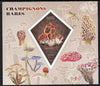 Madagascar 2014 Rare Mushrooms imperf deluxe sheet containing one diamond shaped value unmounted mint
