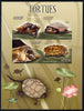 Congo 2014 Turtles imperf sheetlet containing 4 values unmounted mint