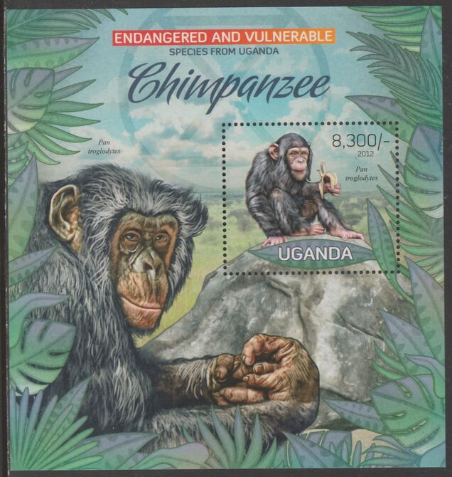 Uganda 2012 Endangered Species - Chimpanzee perf souvenir sheet,containing 1 value unmounted mint.