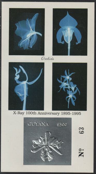 Guyana 1995 Centenary of X-Rays - Orchids imperf deluxe sheet embossed in silver foil on glossy card, unmounted mint and numbered from a limited printing