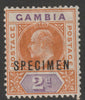 Gambia 1903 KE7 Crown CA Key Plate 2d overprinted SPECIMEN with gum and only about 750 produced SG 47s