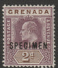 Grenada 1902 KE7 Crown CA Key Plate 2d overprinted SPECIMEN fine with gum and only about 750 produced SG 59s