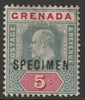 Grenada 1902 KE7 Crown CA Key Plate 5s overprinted SPECIMEN with gum but hinge staining, only about 750 produced SG 65s
