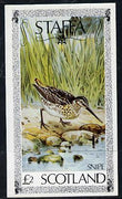 Staffa 1979 Water Birds #02 (Snipe) imperf deluxe sheet (£2 value) unmounted mint