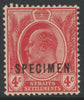Malaya - Straits Settlements 1906 KE7 MCA 4c red overprinted SPECIMEN with gum and only about 750 produced SG 154s