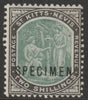 St Kitts-Nevis 1903 Columbus & Medicinal Spring Issue Crown CA 2s overprinted SPECIMEN fine with gum, only 750 produced SG 8s