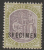 St Kitts-Nevis 1903 Columbus & Medicinal Spring Issue Crown CA 5s overprinted SPECIMEN with gum, only 750 produced SG 10s