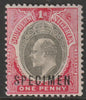 Southern Nigeria 1903 KE7 Crown CA 1d overprinted SPECIMEN with gum and only about 750 produced SG 11s