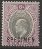 Southern Nigeria 1903 KE7 Crown CA 6d overprinted SPECIMEN with gum and only about 750 produced SG 15s