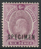 Southern Nigeria 1907 KE7 MCA 6d overprinted SPECIMEN with gum and only about 400 produced SG 39s