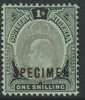 Southern Nigeria 1907 KE7 MCA 1s overprinted SPECIMEN with gum and only about 400 produced SG 40s