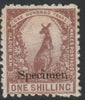 New South Wales 1888 QV Pictorial 1s overprinted SPECIMEN,without gum,SG 258s