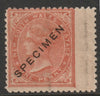 New South Wales 1863 QV,1d dull red overprinted SPECIMEN,with gum but light overall toning, SG Type 26