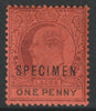 Lagos 1904 KE7 1d overprinted SPECIMEN with Short Topped N variety (Position 54) with gum