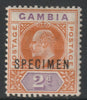 Gambia 1902 KE7 2d overprinted SPECIMEN with Short Footed N variety (Position 30) with gum