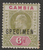 Gambia 1902 KE7 6d overprinted SPECIMEN with Short Footed N variety (Position 30) with gum