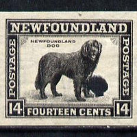 Newfoundland 1941-44 KG6 Newfoundland Dog 14c black imperf PROOF with Waterlow security punch hole, some wrinkles but a scarce KG6 item (as SG 284)