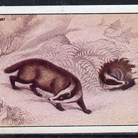 Staffa 1982 Animals (Badger) imperf souvenir sheet (£1 value) unmounted mint