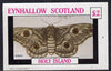 Eynhallow 1982 Butterflies imperf deluxe sheet (£2 value) unmounted mint