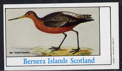Bernera 1982 Waders (Godwit) imperf souvenir sheet (£1 value) unmounted mint
