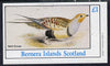 Bernera 1982 Sand Grouse imperf souvenir sheet (£1 value) unmounted mint
