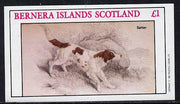 Bernera 1982 Dogs (Setter) imperf souvenir sheet (£1 value) unmounted mint