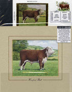 Great Britain 1984 British Cattle - original hand-painted artwork of Hereford Bull as used to illustrate Benham silk first day cover (26p value), approx 5" x 4" plus the matching Benham silk cover, a magnificent and attractive unit