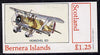 Bernera 1982 Aircraft #14 (Henschel 123) imperf souvenir sheet (£1.25 value) unmounted mint